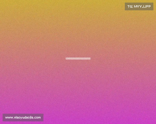 考试规则与新型考核模式的创新与挑战探讨