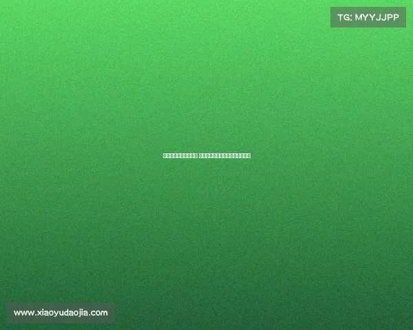 英超铁腰的崛起与传奇 透视中场防守核心的至关重要地位